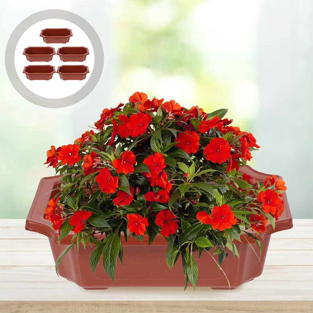 Pot de fleurs carré, 10 pièces