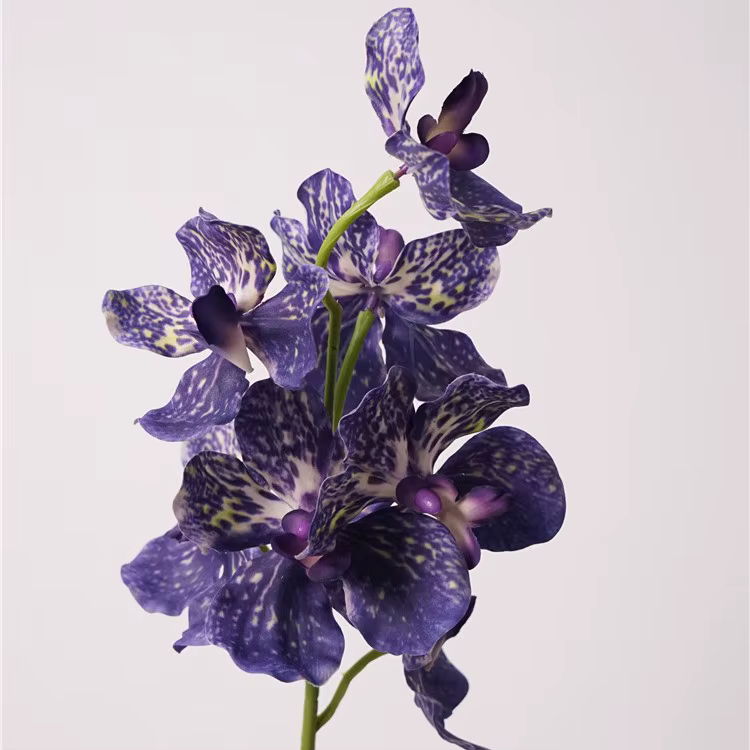 Fleur d'orchidée Vanda artificielle hydratante
