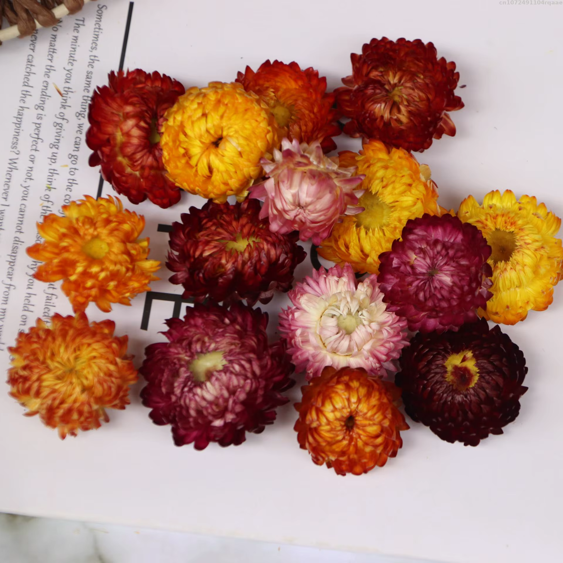 Qualité tournesol marguerite fleur séchée bricolage Epoxy résine moule maison décoration murale paille sèche