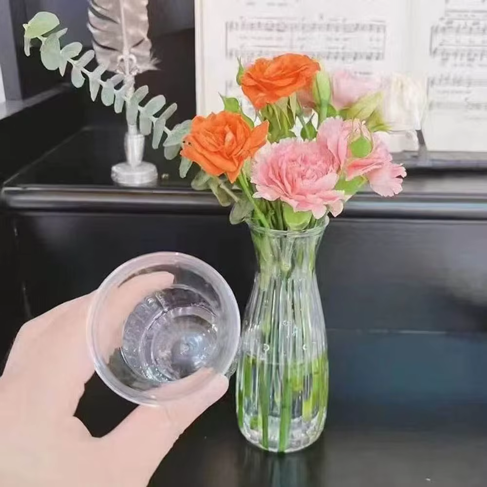 Vase à fleurs hydroponique en plastique Transparent