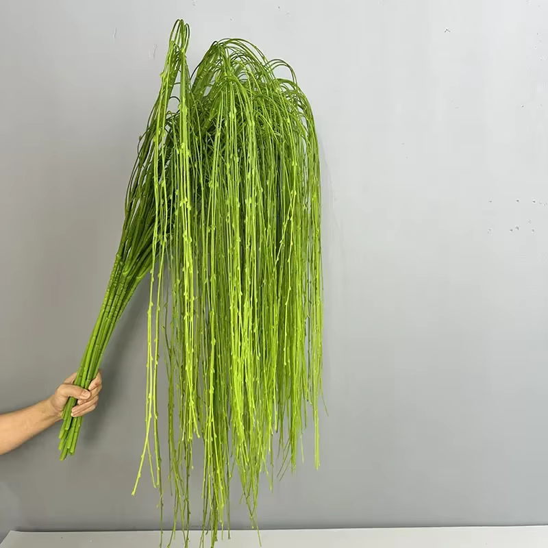 Simulation de plantes de saules pleureurs
