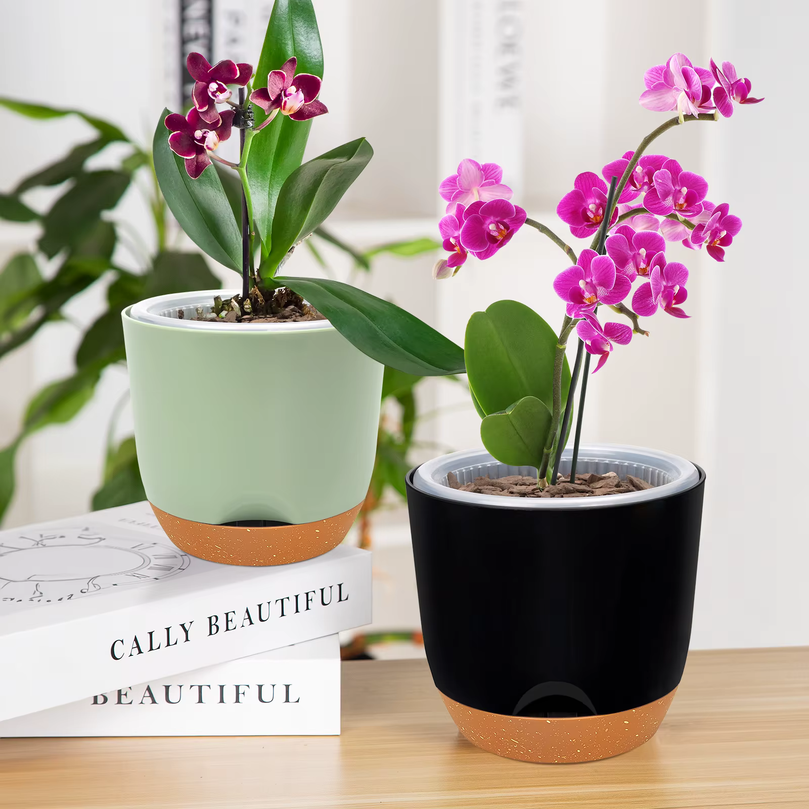 Pots à orchidées avec trous