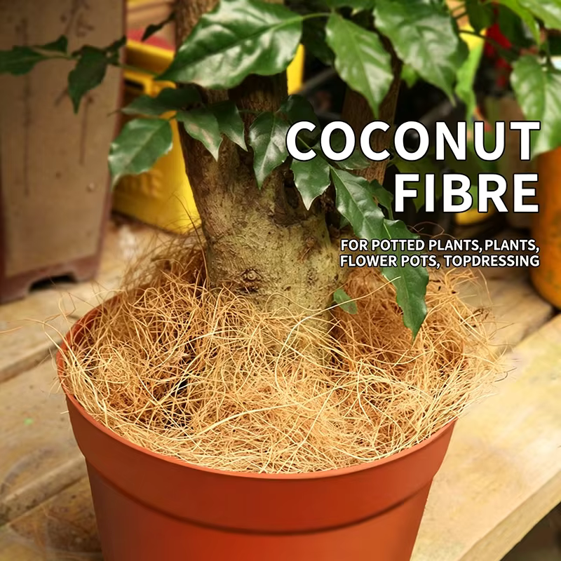 50g/100g Fibres de coco naturelles et biologiques longues pour couverture de pot de plantes