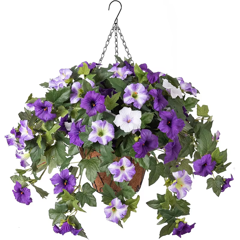 Fleurs de gloire du matin en soie artificielle violette