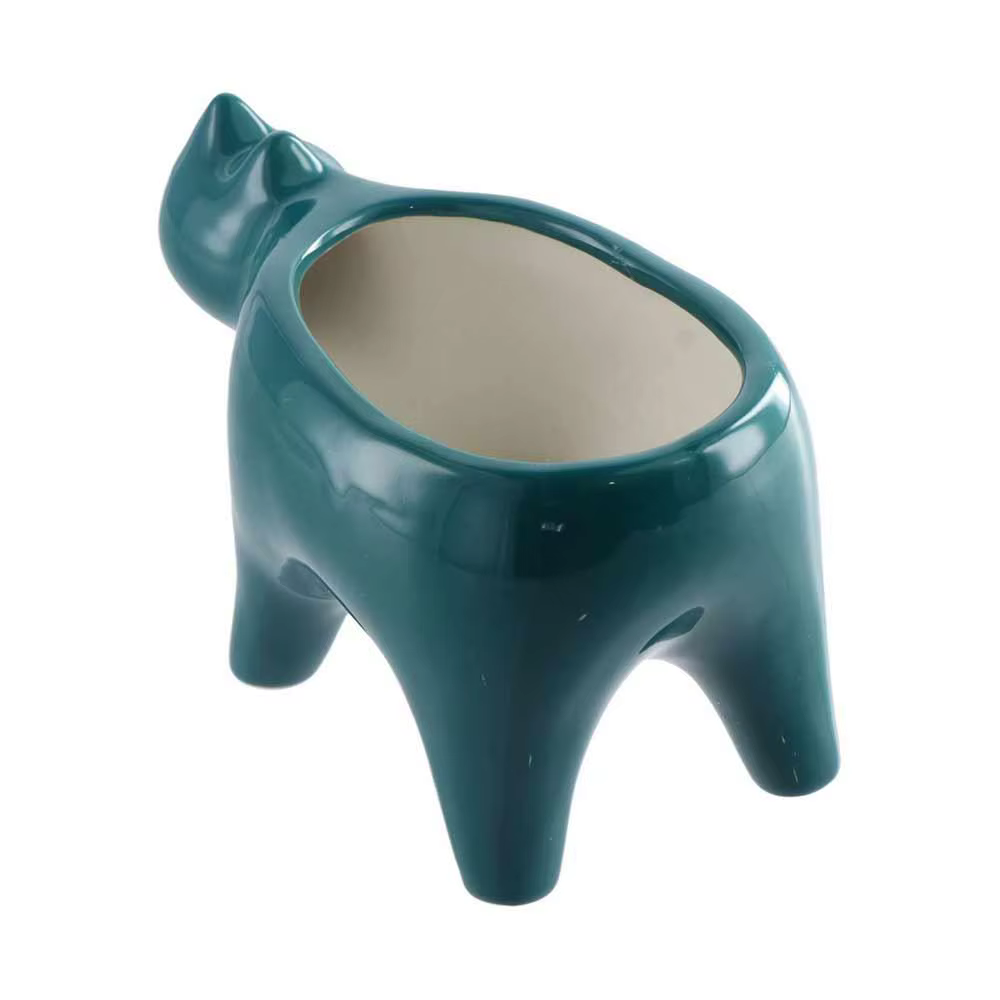 Pot de balcon en Pot pour chat succulent