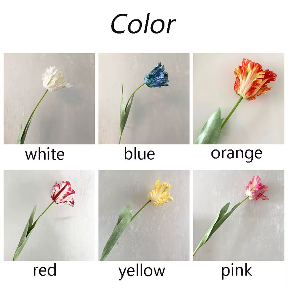 Fleur pour la maison, les fêtes