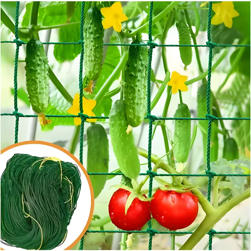 Filet d'escalade pour plantes de jardin
