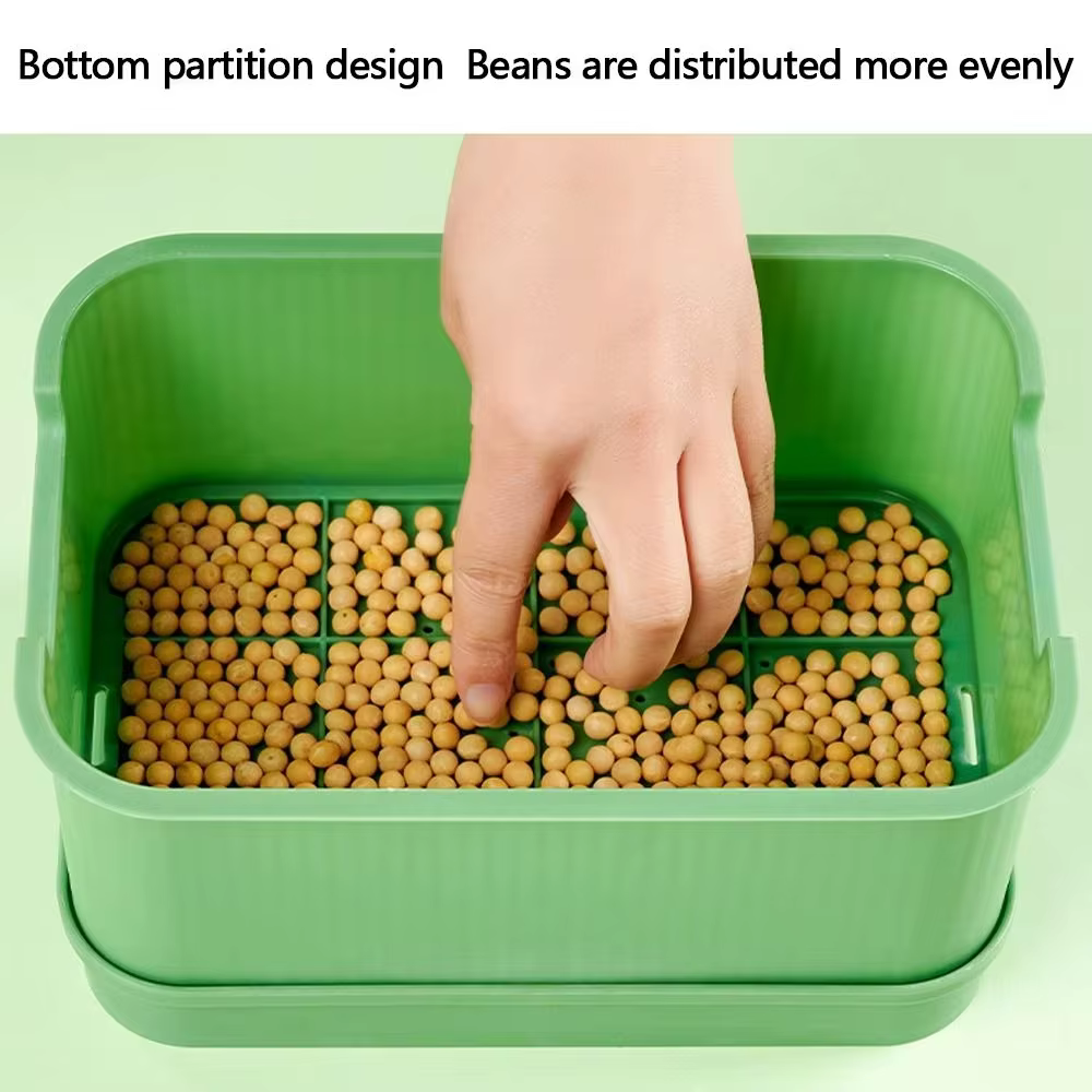Plateau de germination de graines