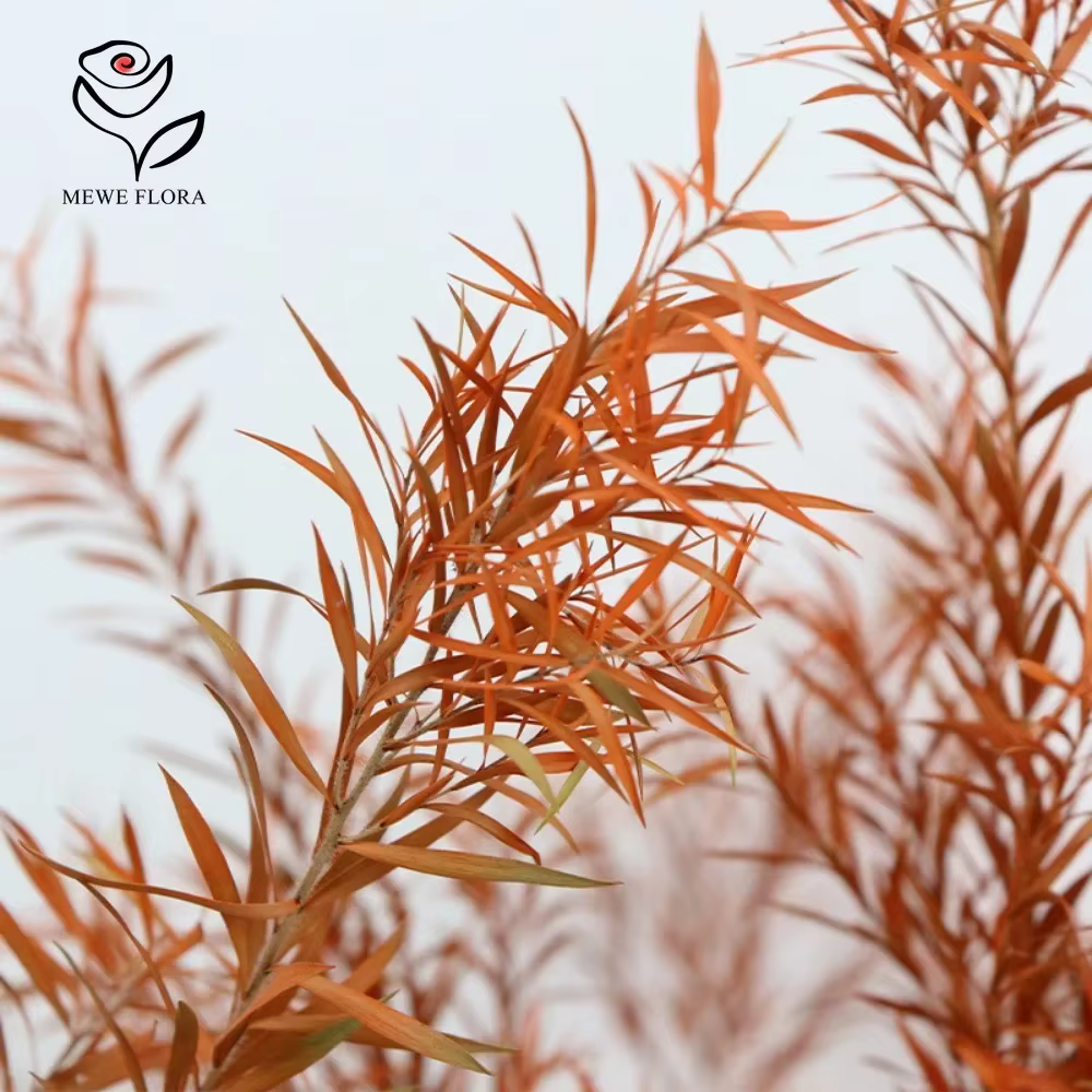 Bouquets de Fleurs vaccées Naturelles pour Décoration de Maison