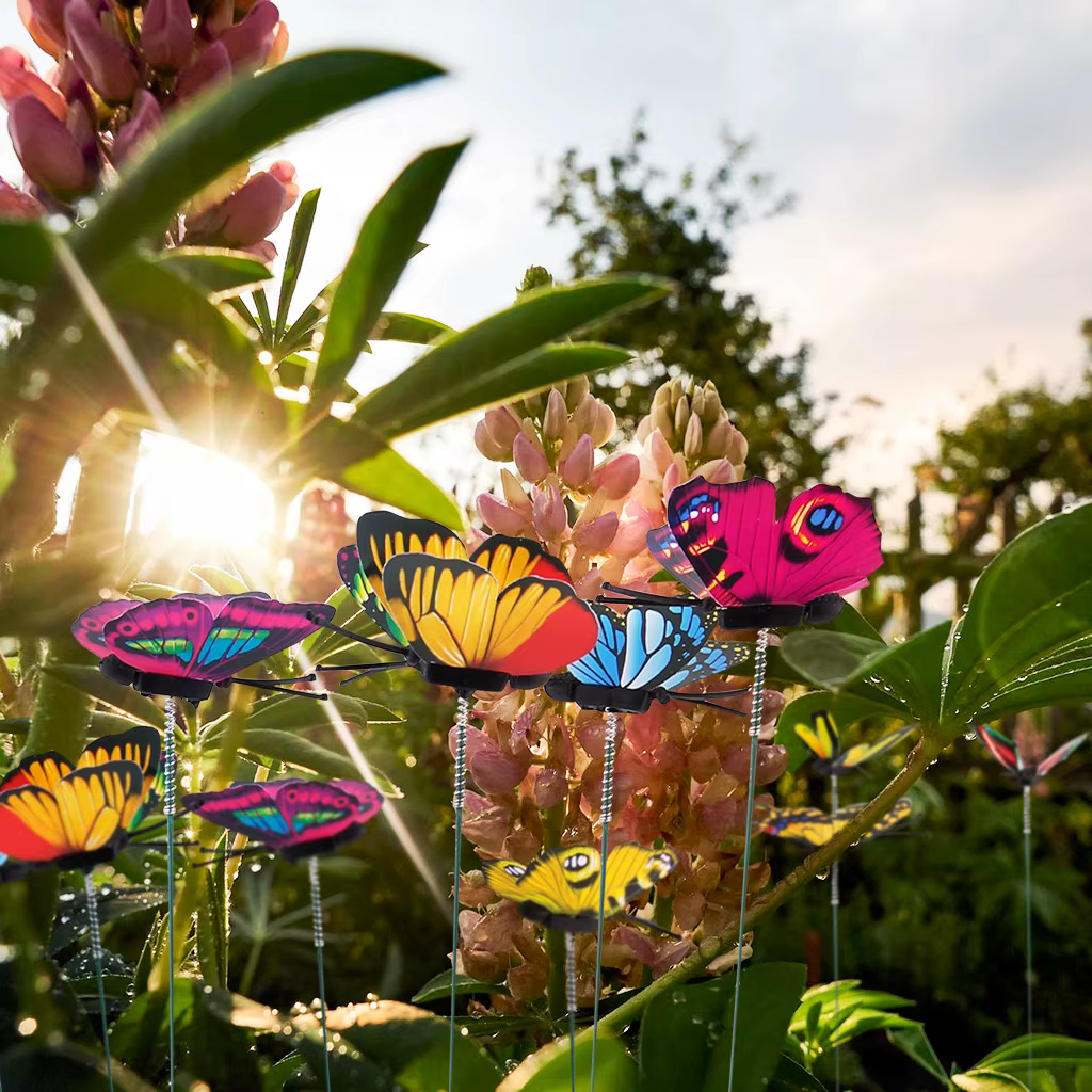 Bouquet de papillons, jardinière de jardin