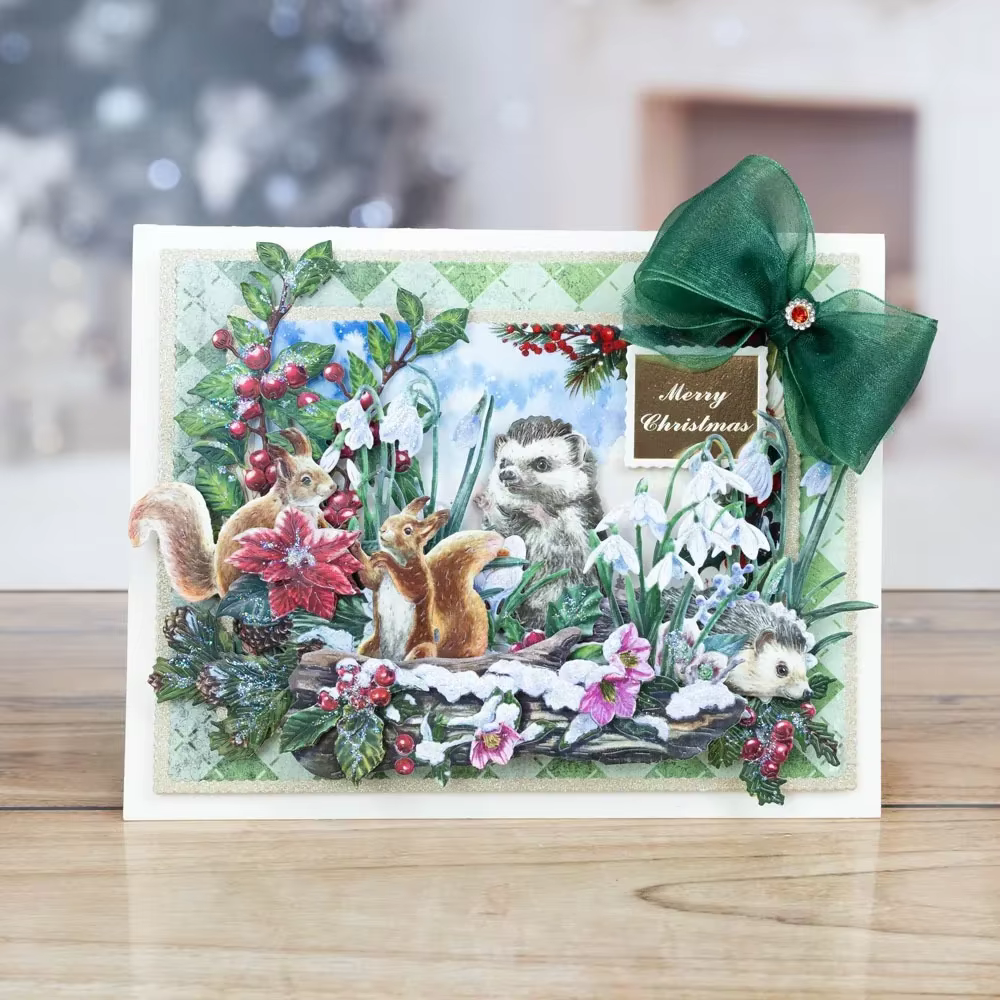 Nouvelle collection de matrices florales givrées 2026 pour le scrapbooking DIY