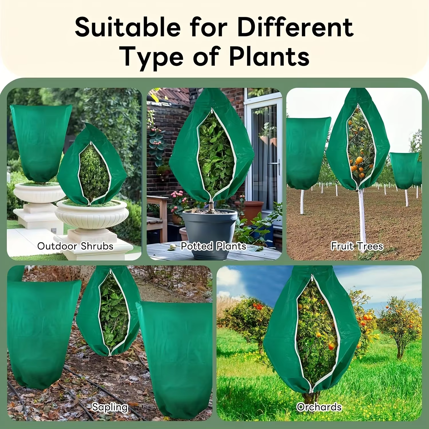 Couverture de Protection des plantes d'hiver