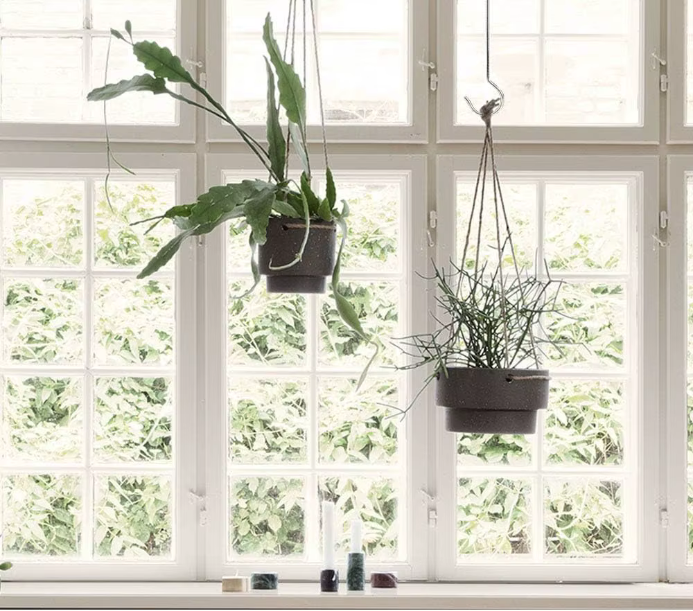 Lot de 6 crochets S extra larges et robustes pour plantes d'extérieur - pour paniers