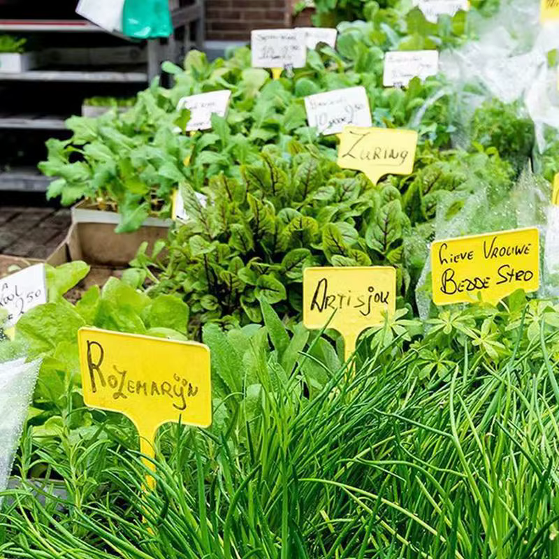 Étiquettes pour plantes de jardin