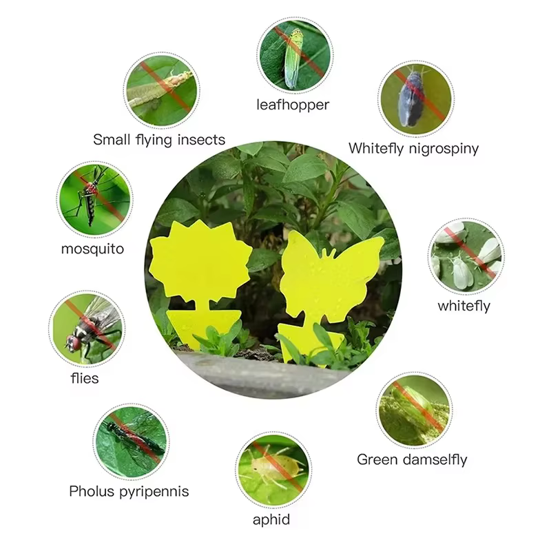 36 pièces/ensemble de pièges à insectes jaunes