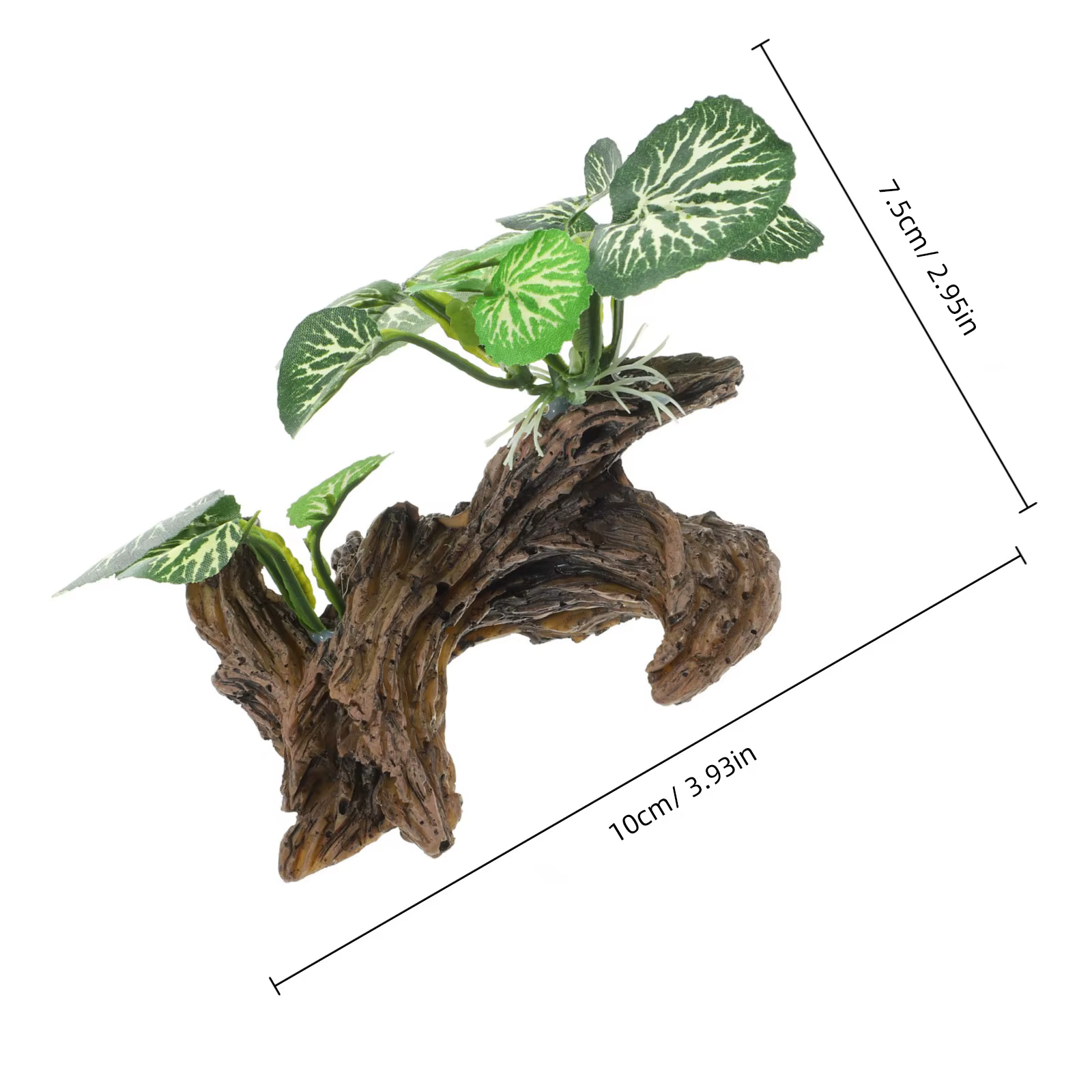 Plantes de Reptile réalistes