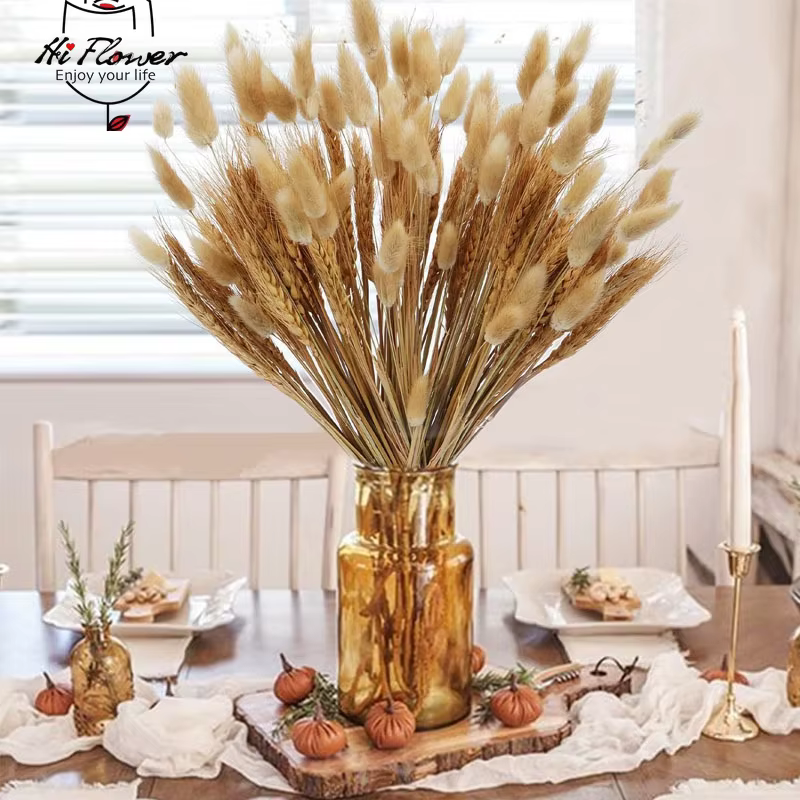 160 Pièces de Fleurs Séchées Naturelles en Épis de Blé pour Décoration Bohème