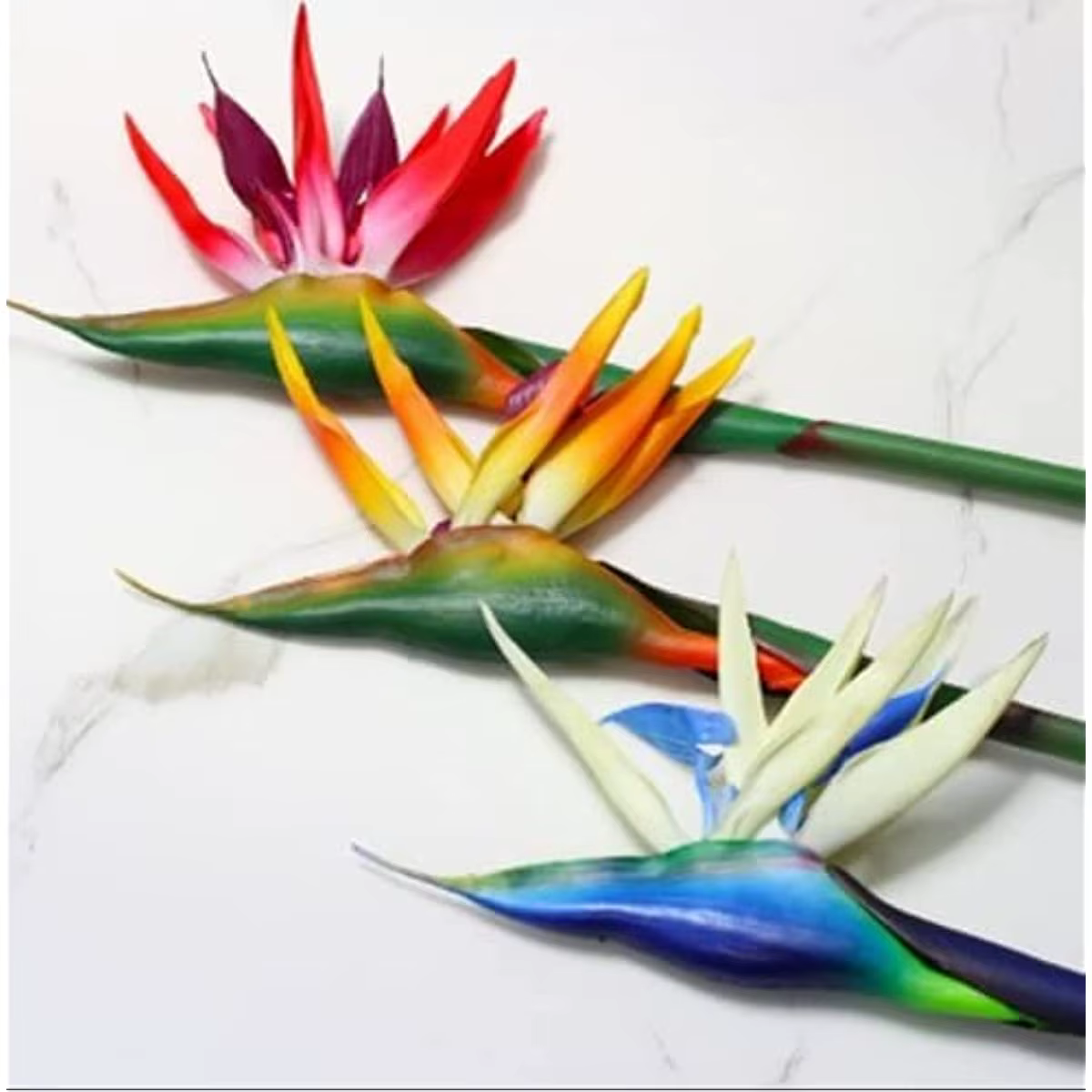Fleurs d'oiseaux du ciel artificielles