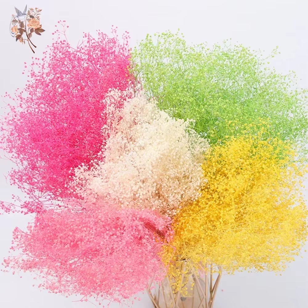 Bouquet de fleurs séchées naturelles