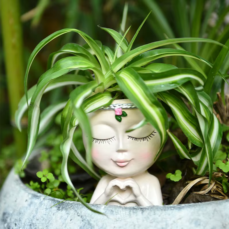 Pot de plantes succulentes Love Girl