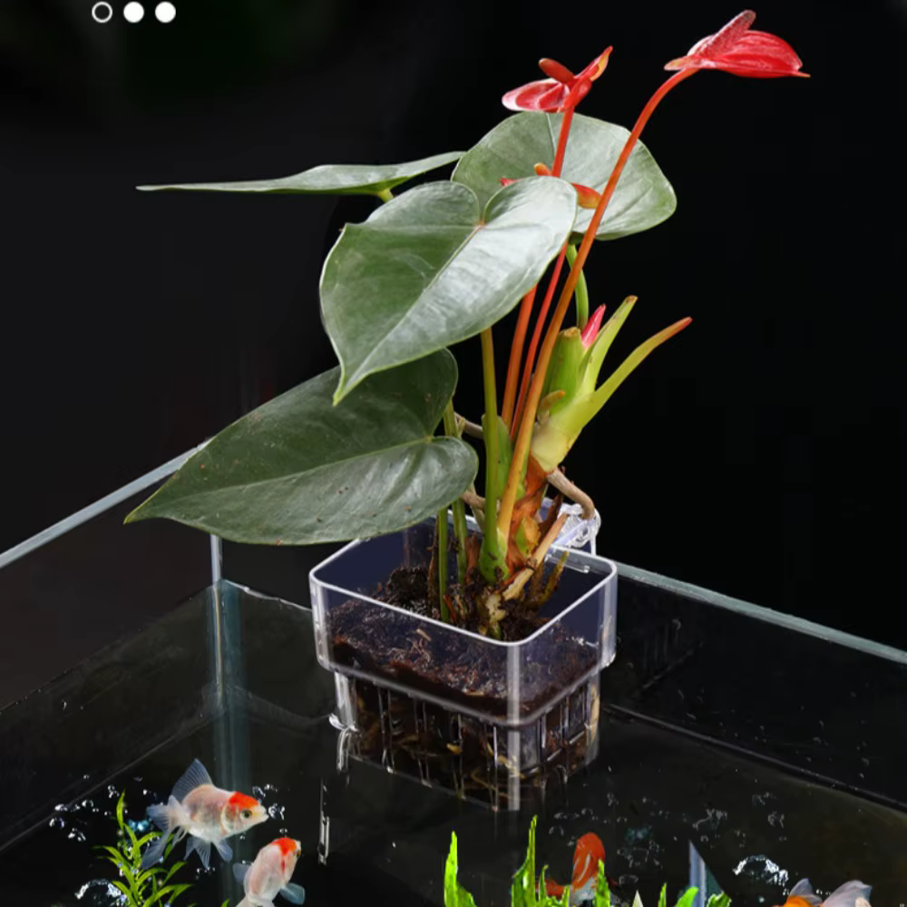 Panier de plantation hydroponique pour Aquarium de poissons