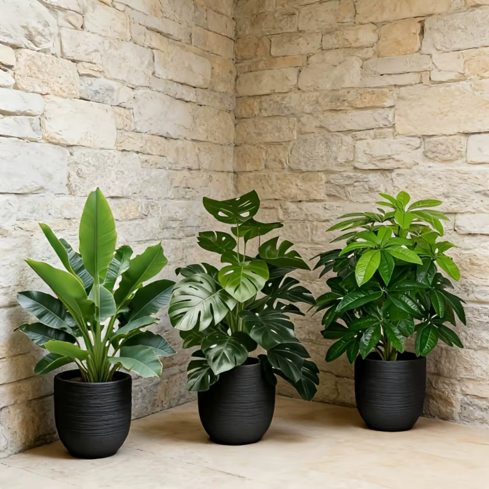 Lot de 3 plantes artificielles : palmier Areca