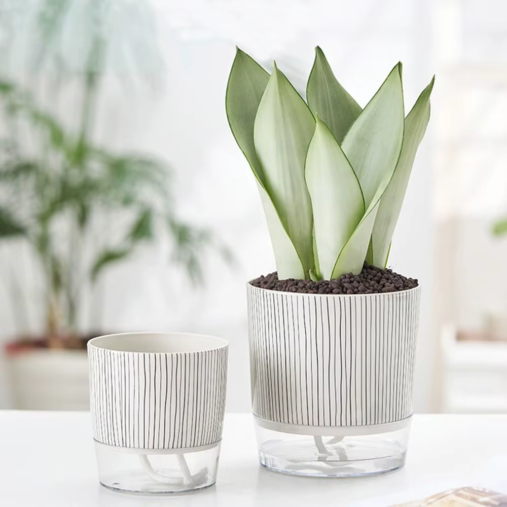 Pot de plantes transparent auto-arrosant