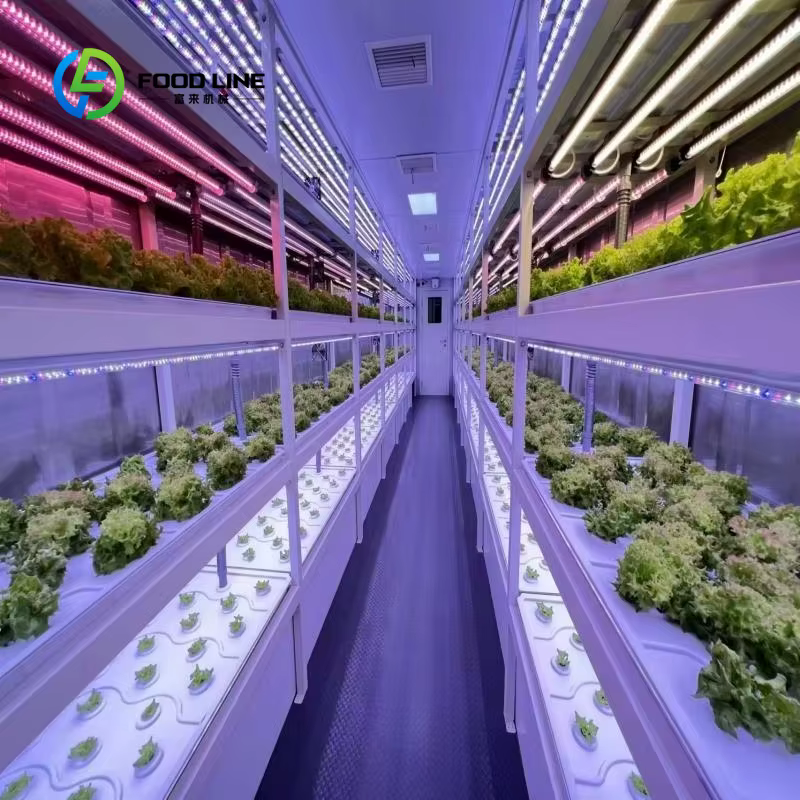 Systèmes d'agriculture verticale en serre hydroponique pour la production de laitues et de légumes à feuilles