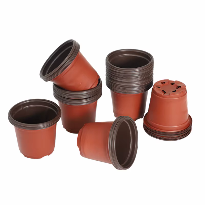 Pot de fleurs en plastique pour culture de plantes succulentes
