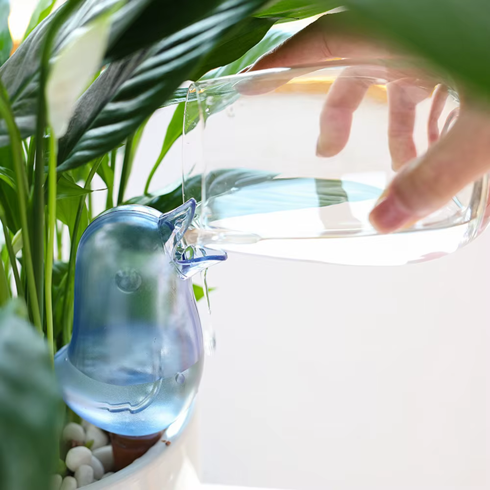 Arrosage automatique des plantes