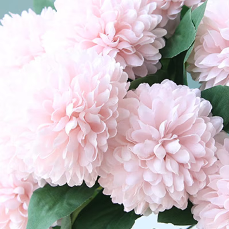 Simulation d'aloès vert fleurs soie 10 têtes boule chrysanthème Bouquet Auditorium décoration plantes