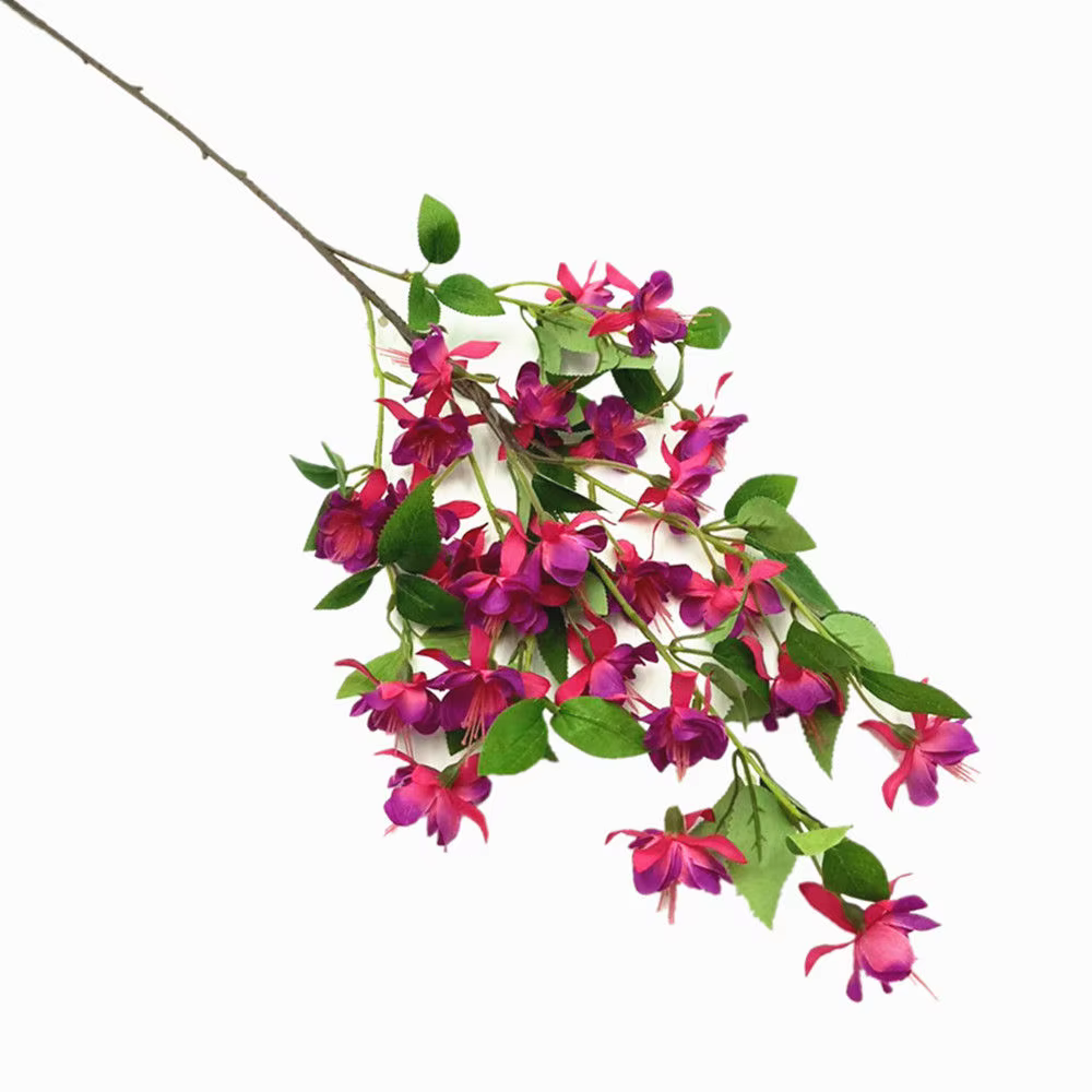 InjForsythia-Fleur de Viridissima Lindl avec Longue Tige