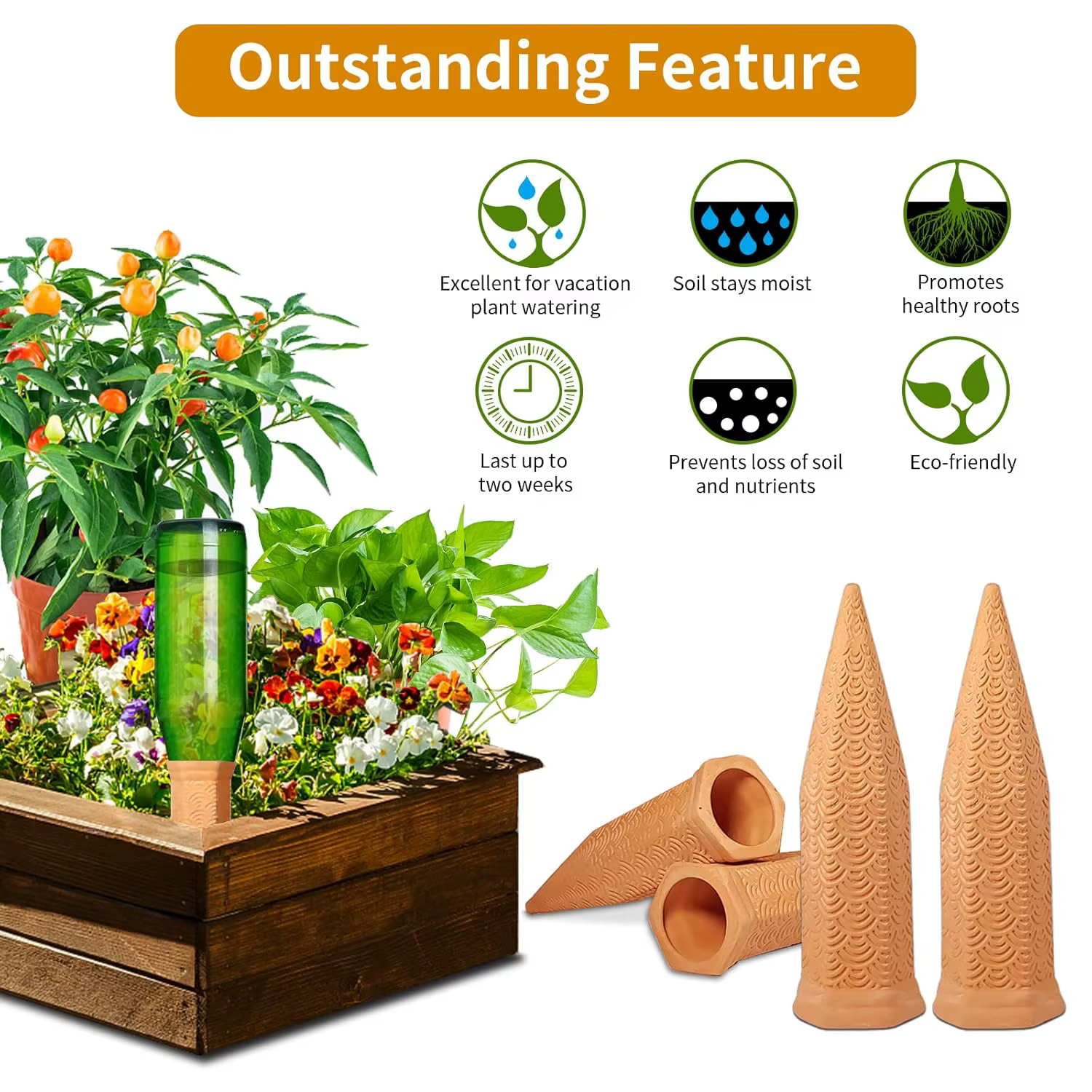 Piques d'arrosage pour plantes d'intérieur et d'extérieur