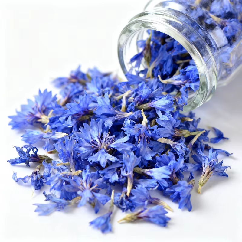 Pétalon de fleur séchée de bleu naturel