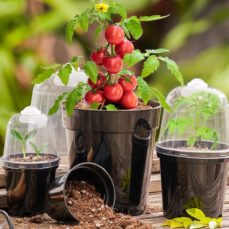 Pots de pépinière, pots à fleurs