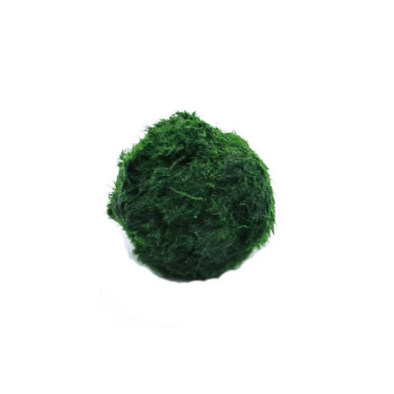 Boules de mousse Marimo de 3-4 cm