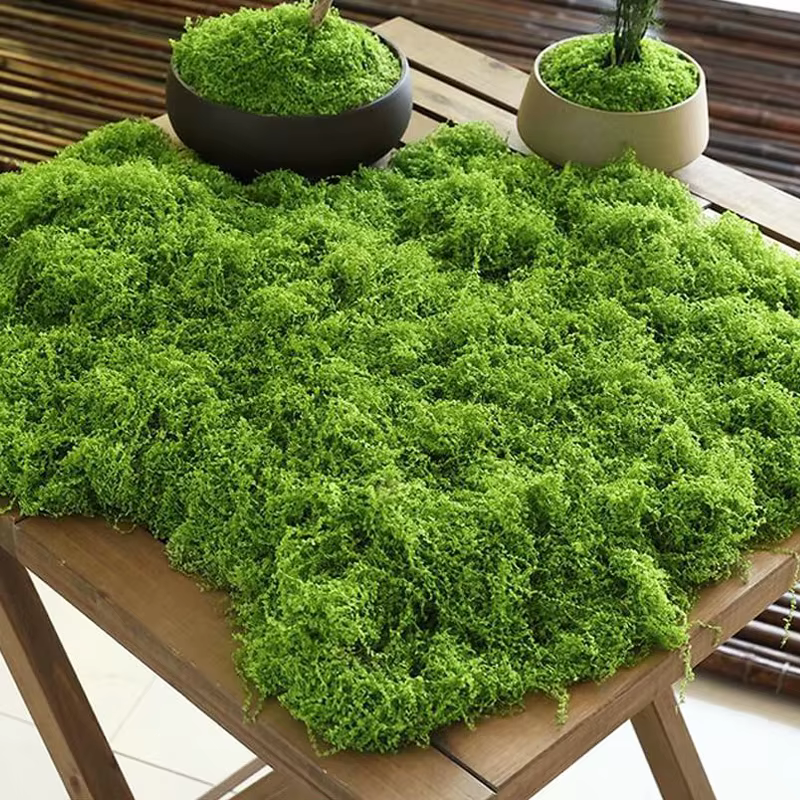 Plantes artificielles en pot de mousse verte