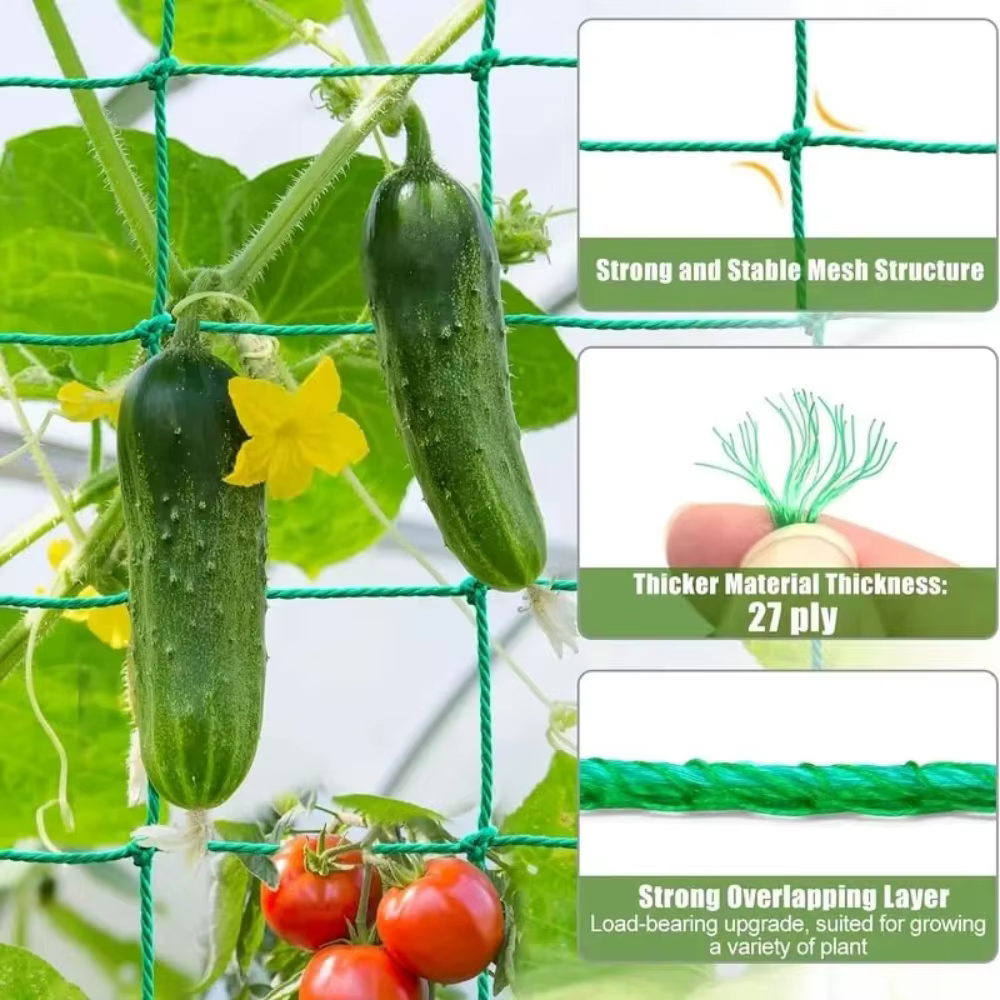 Filet de treillis en nylon pour plantes grimpantes de jardin