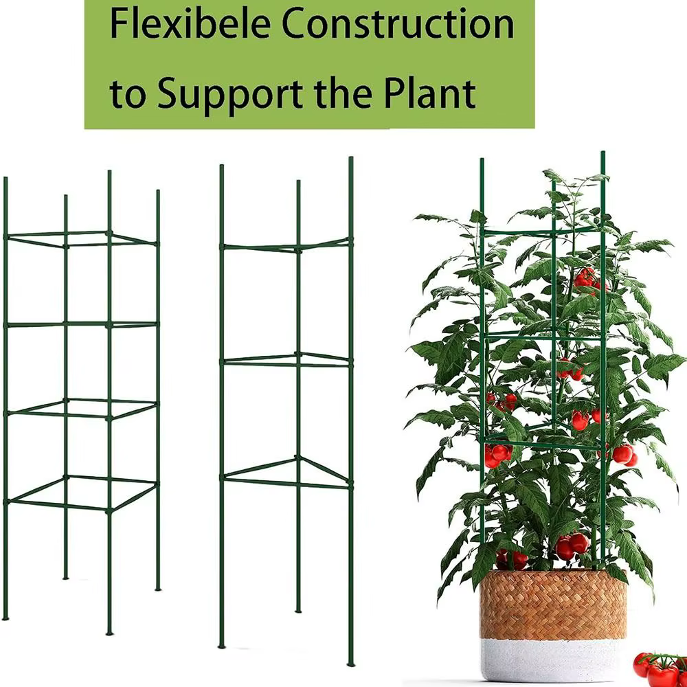 Bras de Piquet de Plante pour Jos de Tomate