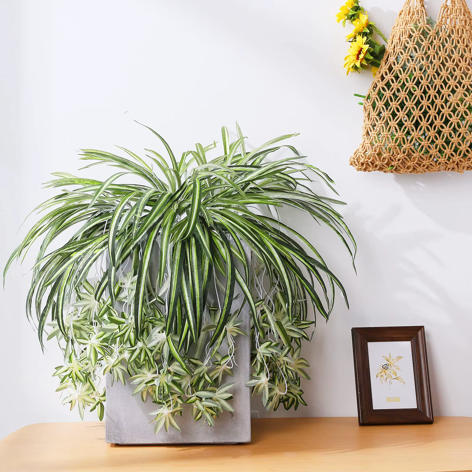 Plantes artificielles factice combo publicité plastique