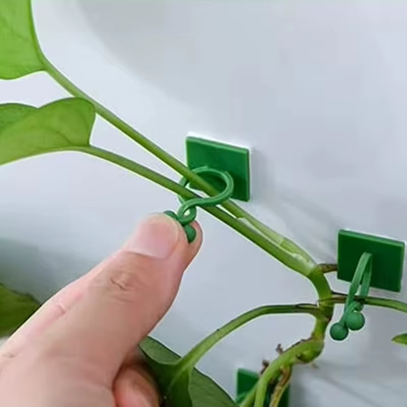 Support de Traction pour plantes de vigne
