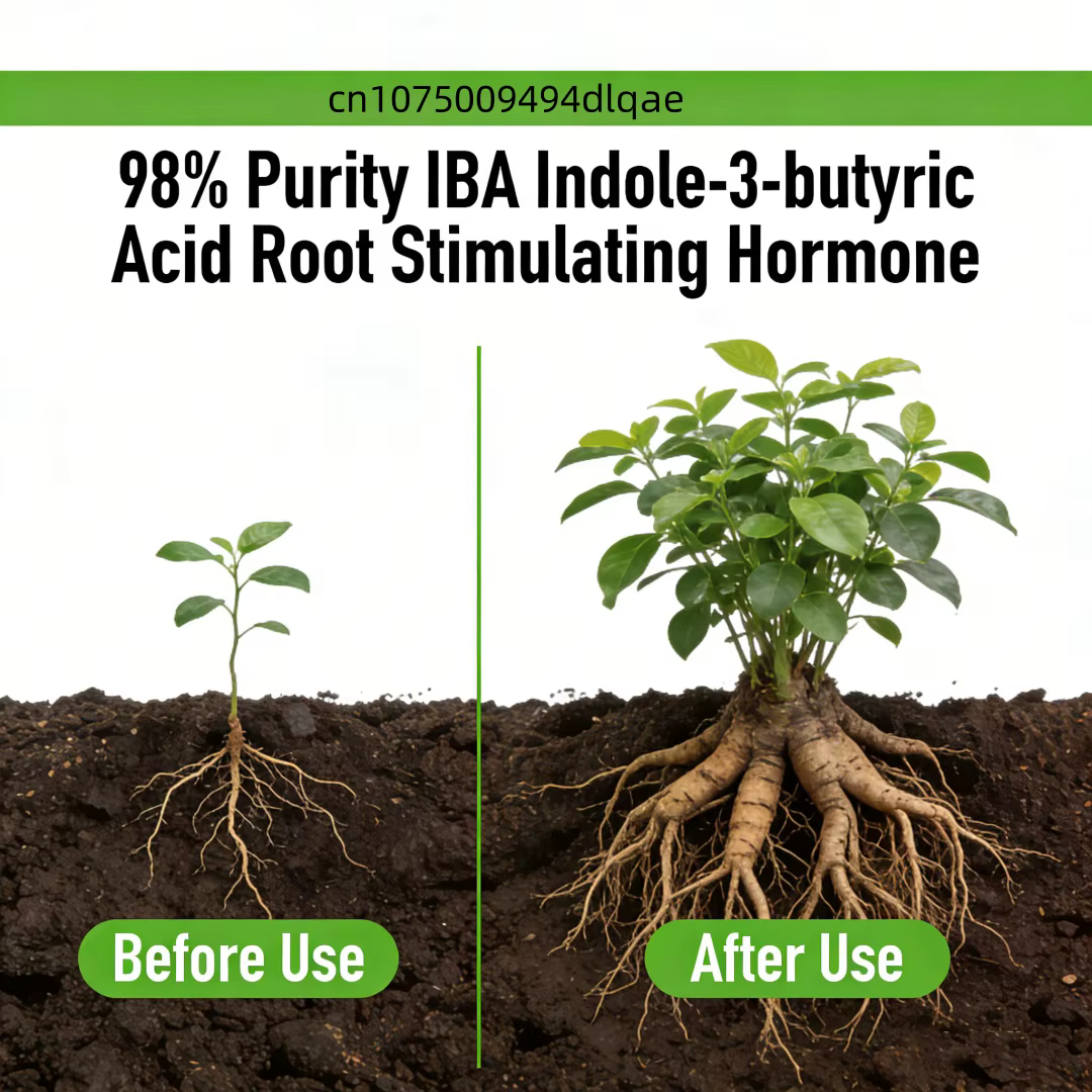 Poudre d'Enracinement à 98% de Pureté IBA Acide Indole-3-butyrique | Régulateur de croissance des plantes