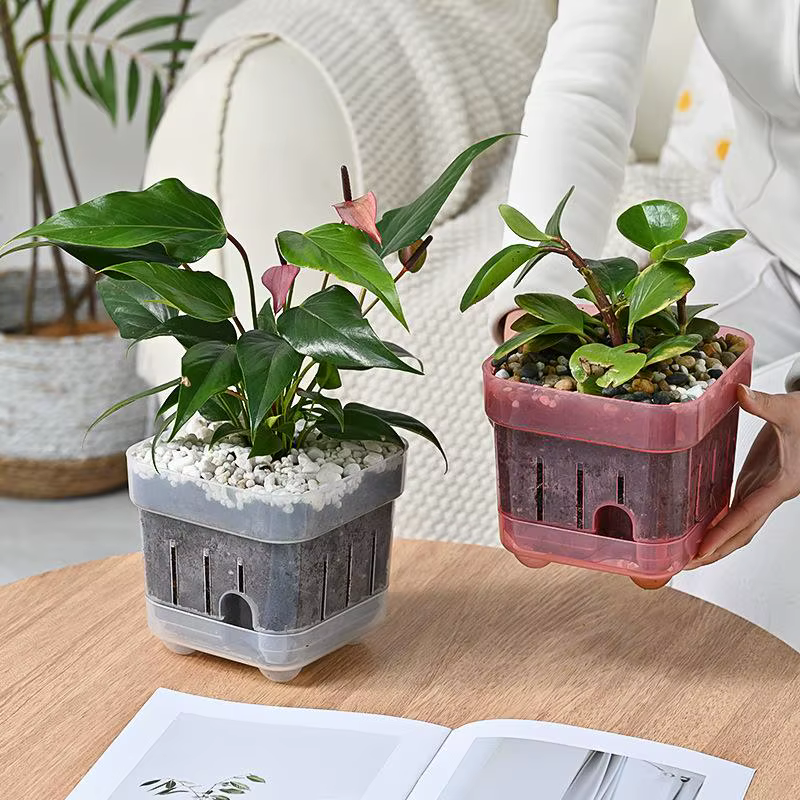 Pot de fleurs carré avec fenêtre de visualisation