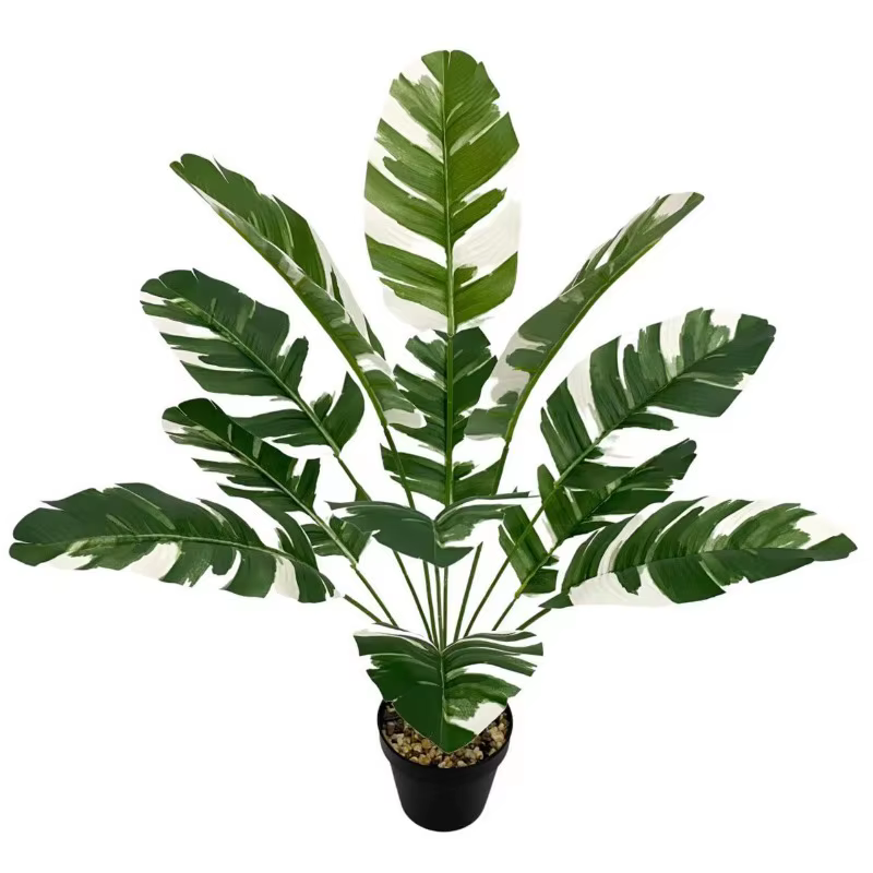 Plantes artificielles sans bassin