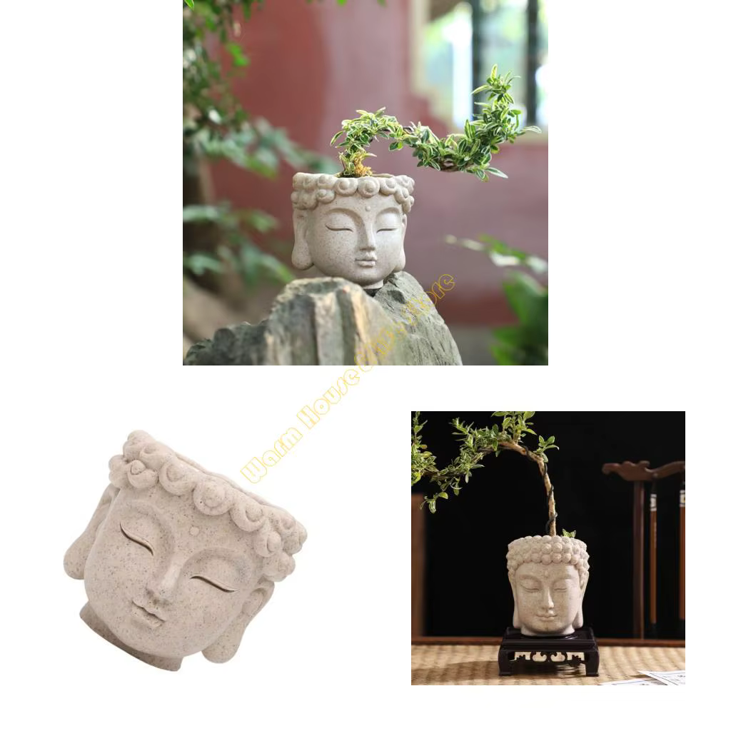 Jardinière bouddha en résine décorative pour plantes succulentes