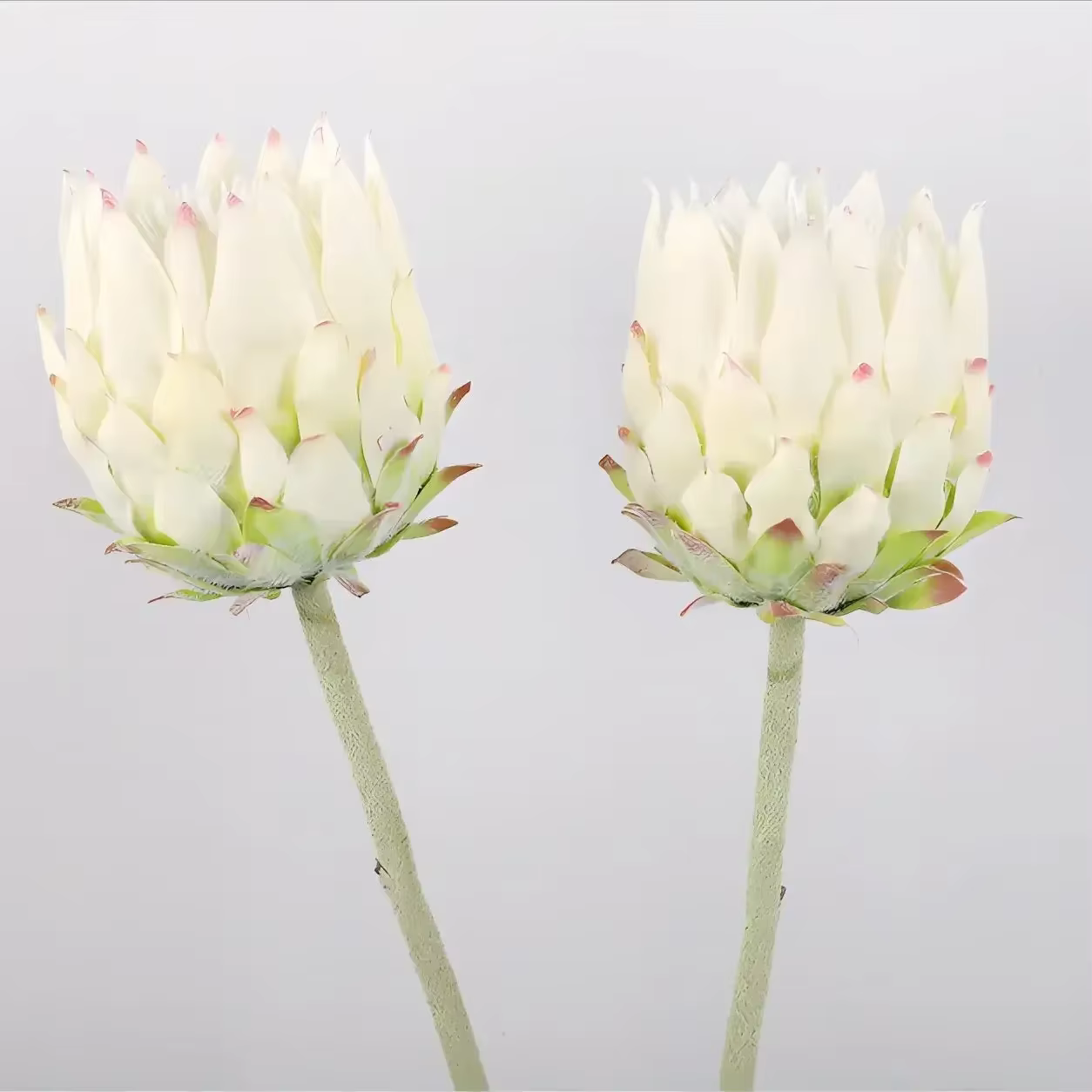 Artificielle haut de gamme unique nordique flocage artichaut fleur décoration de la maison accessoires de photographie