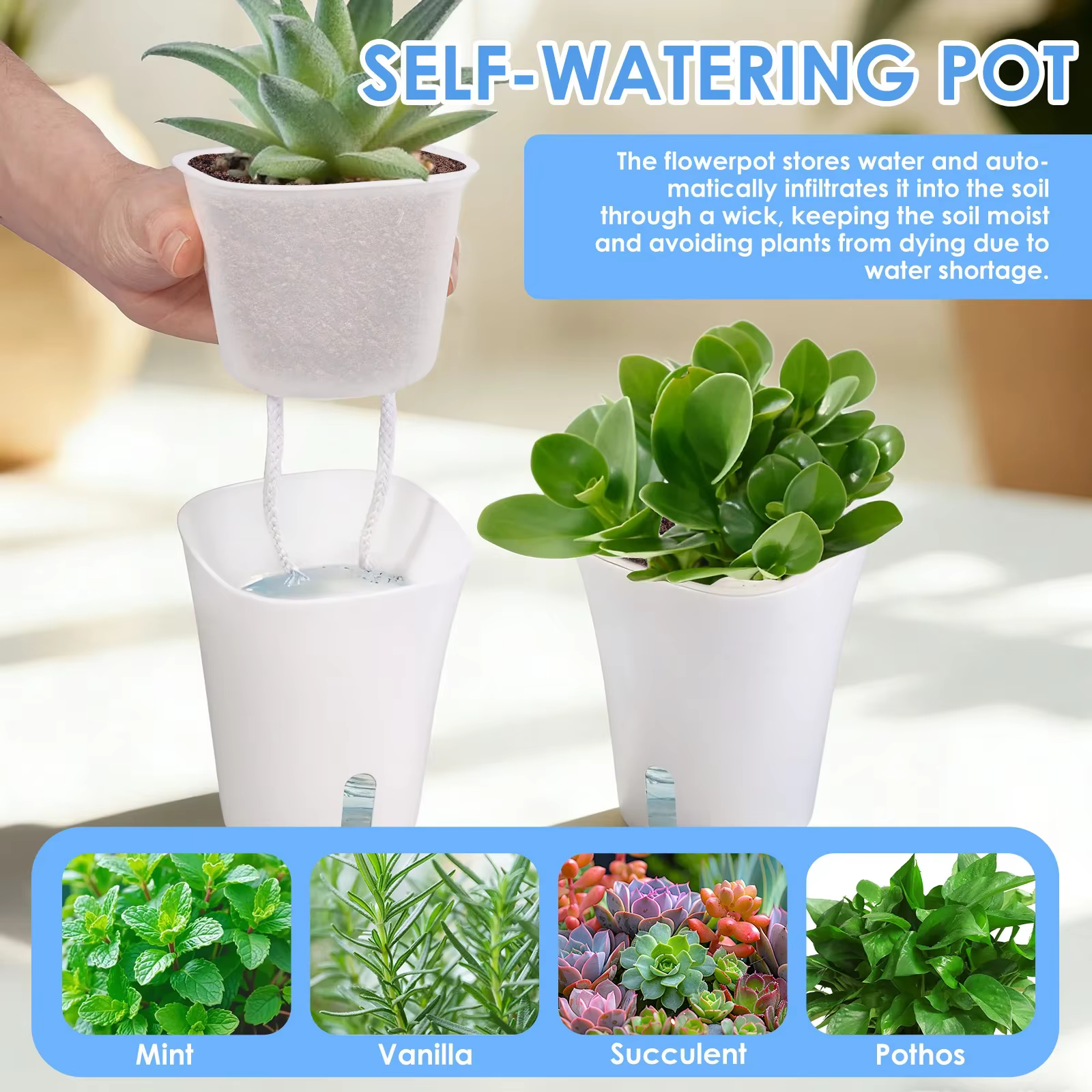 Lot de 10 pots de fleurs auto-arrosants