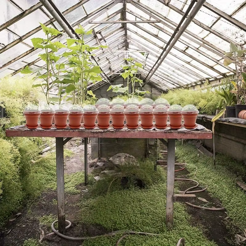 Pot à succulentes grande capacité 20-40