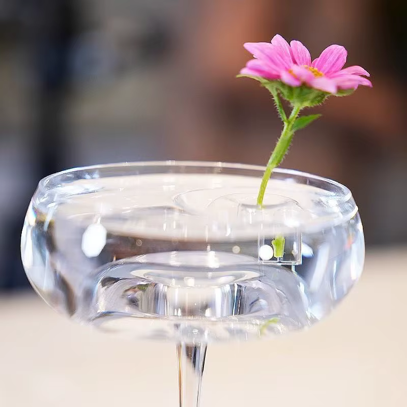 Vase à fleurs flottant en verre : présentoir hydroponique