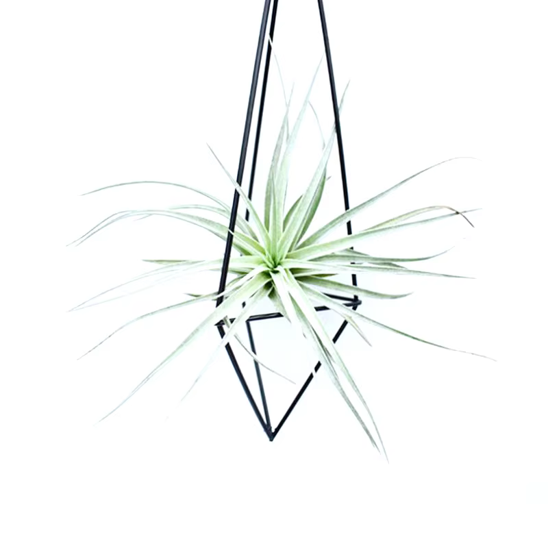 Porte-plante à air géométrique